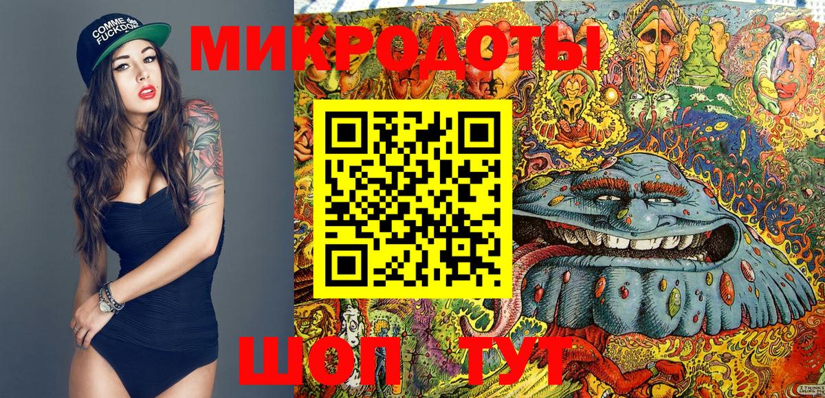 Озёрск  Галлюциногенные грибы Cubensis  Вход с VPN 